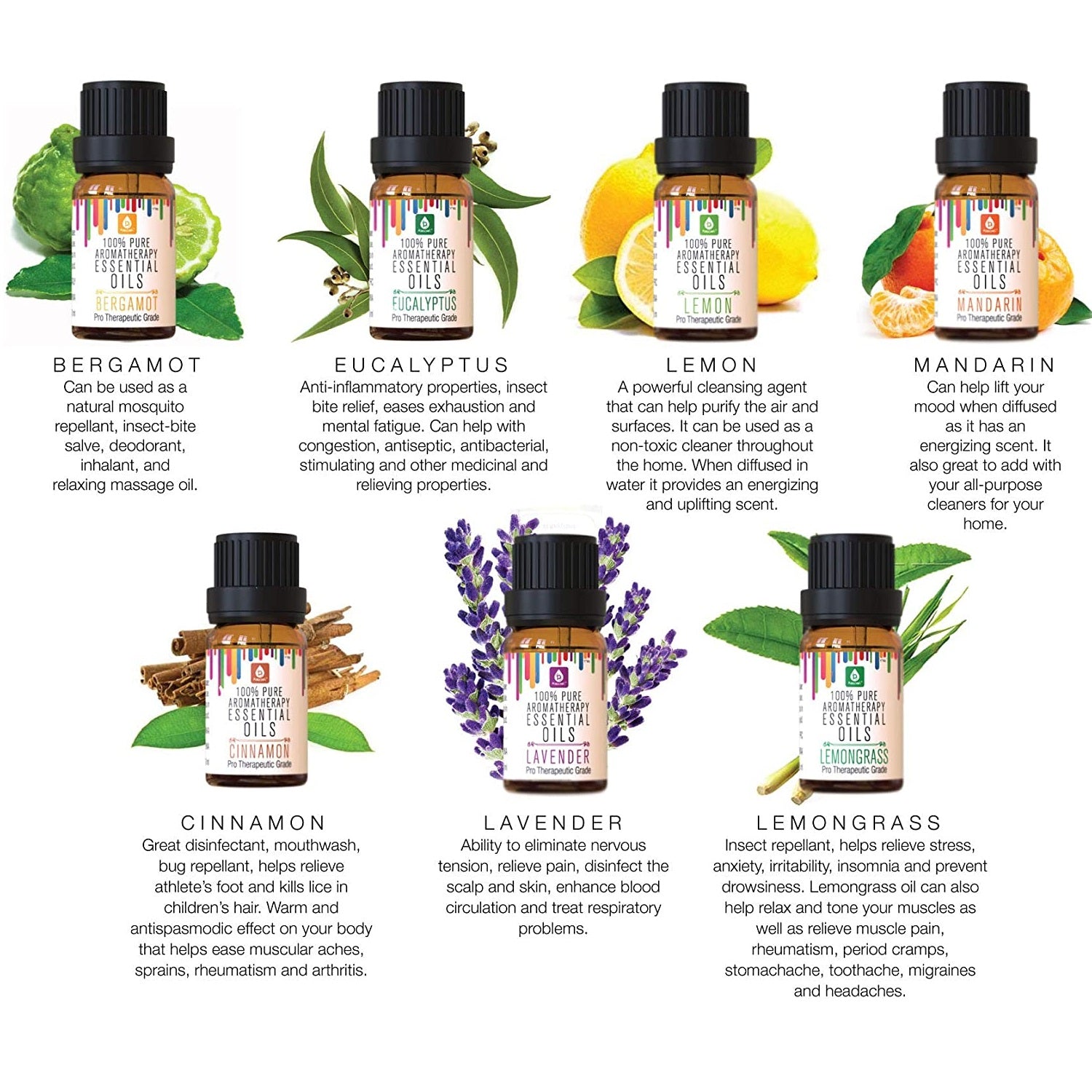 Tranquil Essence Oil Collection (14-Pack)