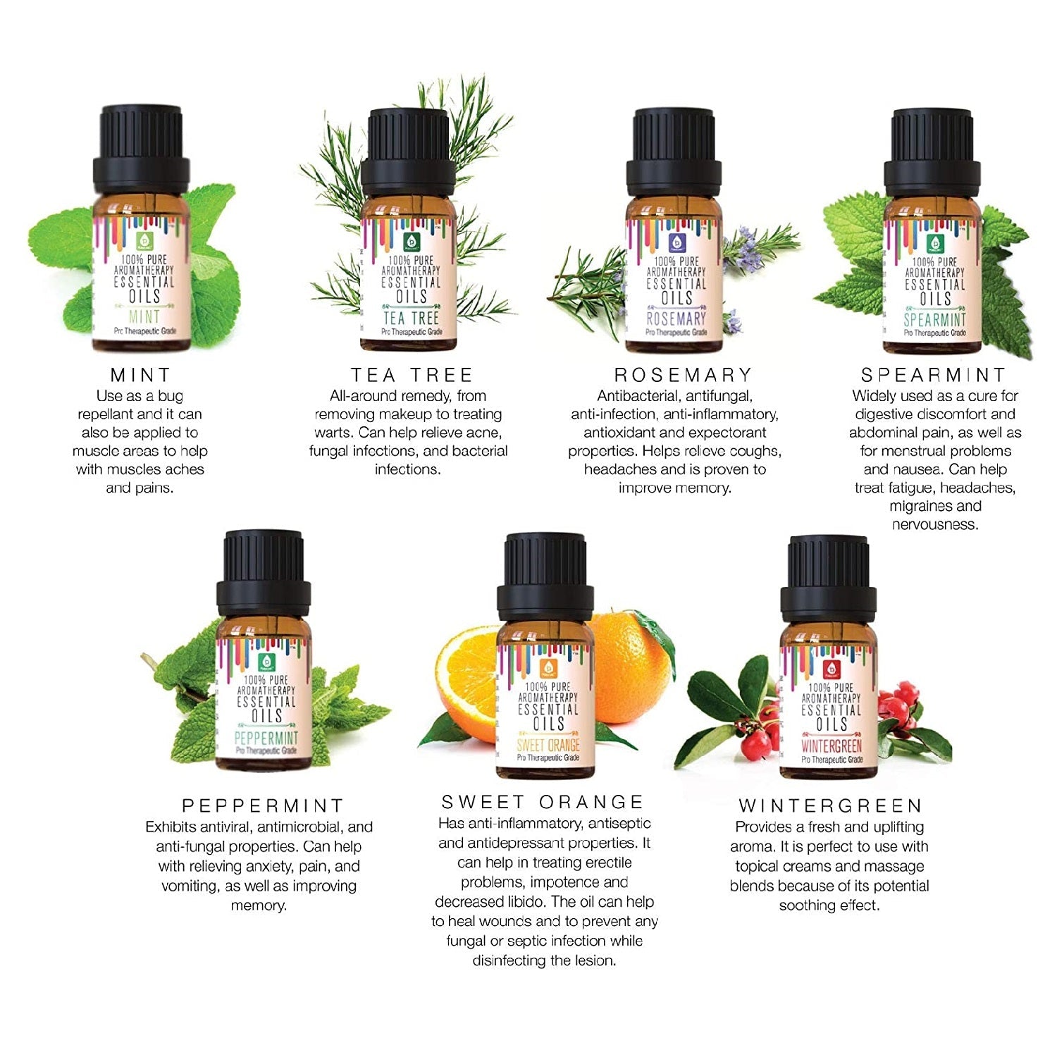 Tranquil Essence Oil Collection (14-Pack)