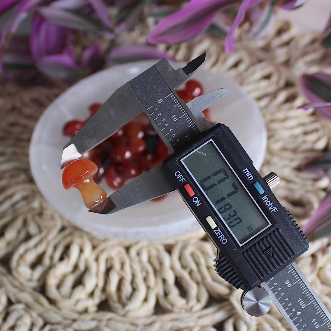 Carnelian Glow Mini Mushroom