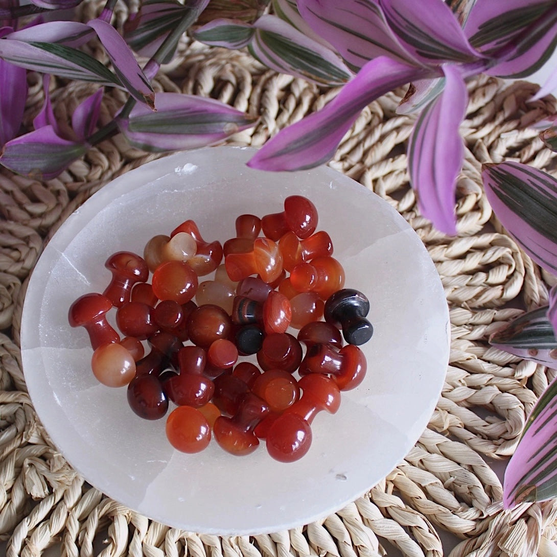 Carnelian Glow Mini Mushroom